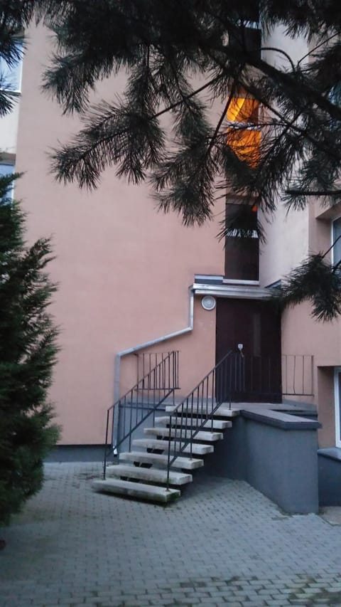 Čiurlionio 83 Druskininkai Apartment in Lithuania