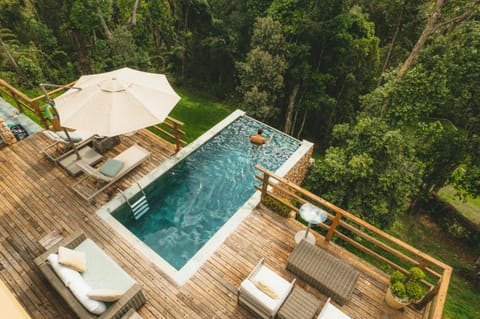 Natural landscape, Garden, Garden view, Pool view, Swimming pool