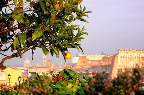 Nearby landmark, Balcony/Terrace