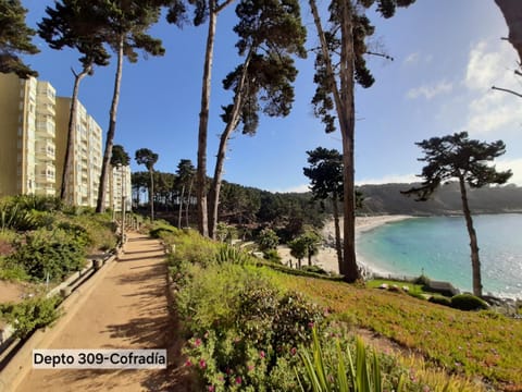 Day, Natural landscape, Beach, Sea view