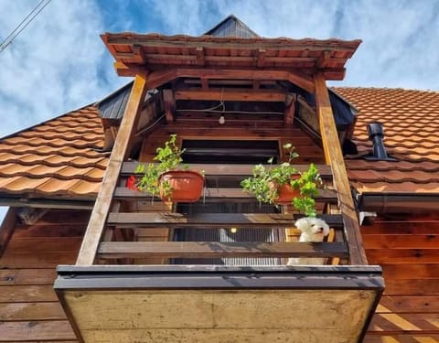 Apartment Vila Fila Apartment in Zlatibor District, Serbia