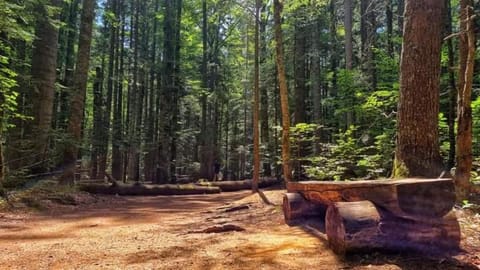 Apartment Vila Fila Apartment in Zlatibor District, Serbia