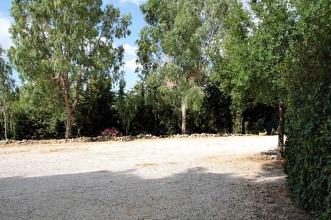 Natural landscape, Garden, Garden view