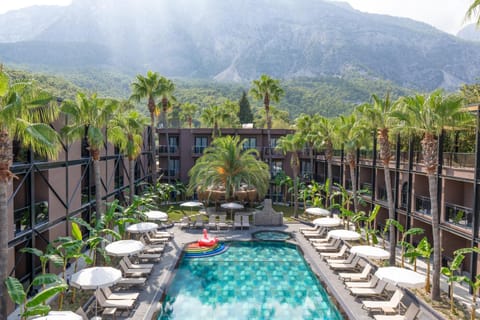 Day, Garden view, Swimming pool, Swimming pool, sunbed