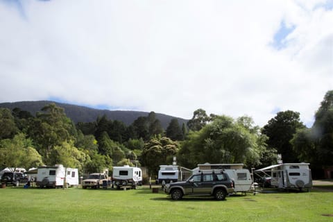 Natural landscape, Garden, Parking