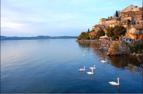 Il B&B del Lago Bed and Breakfast in Anguillara Sabazia