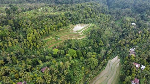 Ananda Homestay Vacation rental in Bali