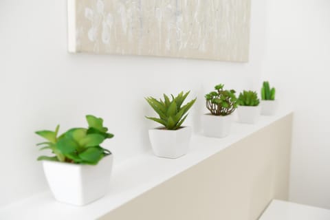 Domus Dams B&B Bed and Breakfast in Basilicata