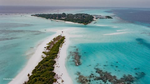 Natural landscape, Bird's eye view, Beach, Sea view