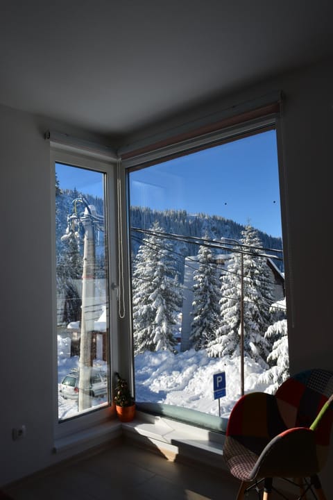 Living room, Decorative detail, Mountain view