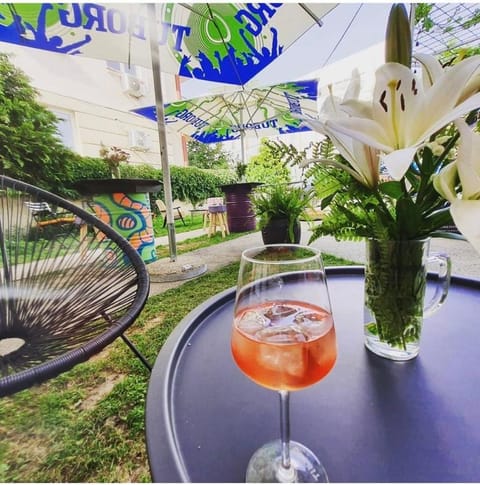 Nordic Hostel N-Box Hostel in Skopje