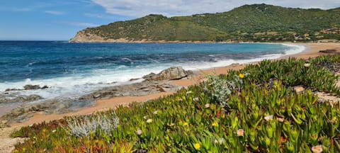 Les Terrasses de Scaglioli Chalet in Ajaccio