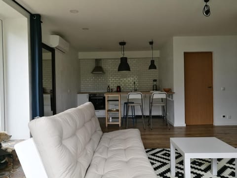 Dru-Sky Apartment in Lithuania