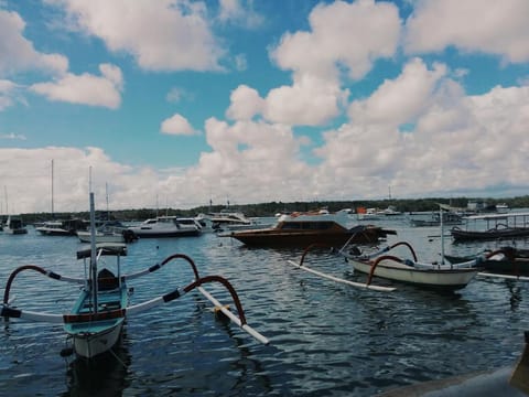 Turtle Island Homestay Vacation rental in Denpasar