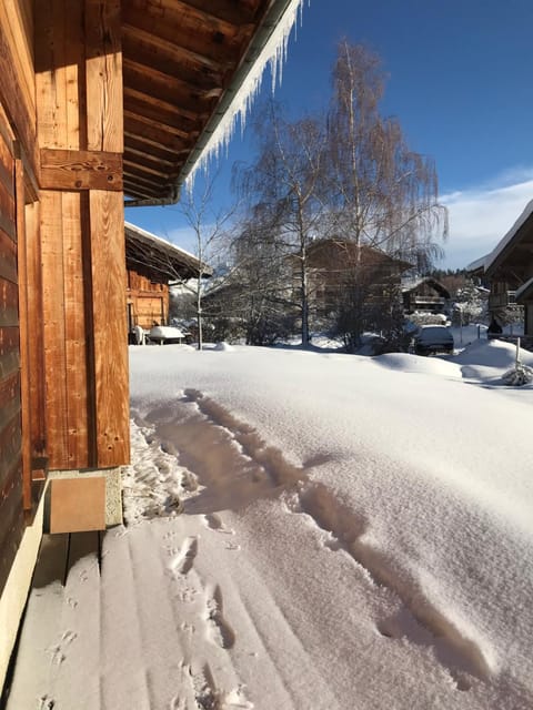 Chalet Du Pont D Arbon Chalet in Combloux