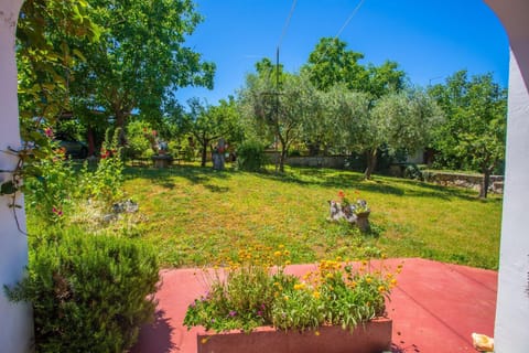 Property building, Garden