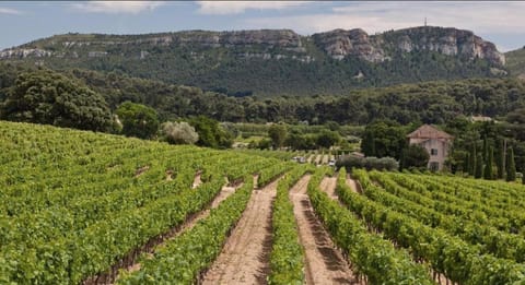 MISTRAL Gagnant Apartment in Cassis