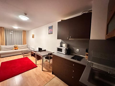 Mountain Paradise 2, One bedroom apartment Apartment in Bansko