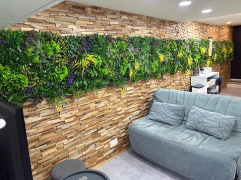 Le Cocon De Notre Dame Apartment in Annecy