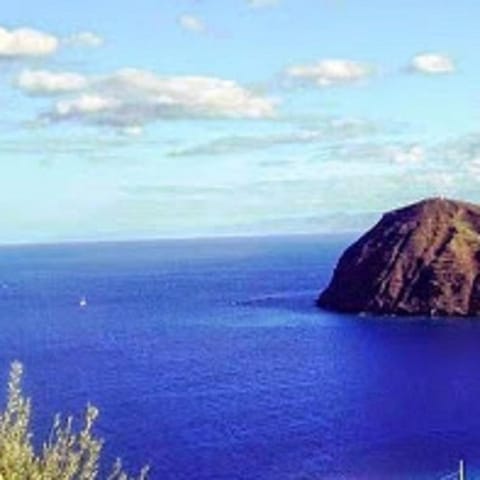 Natural landscape