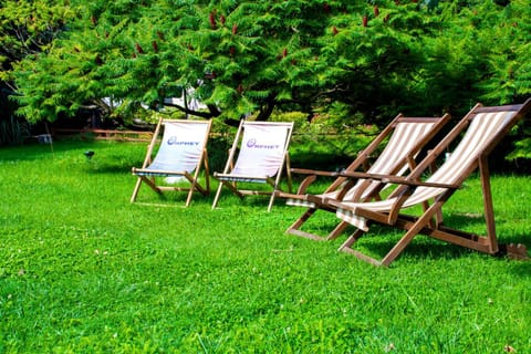 Natural landscape, Garden, Seating area
