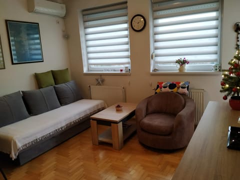 Apartment Xenia Apartment in Novi Sad