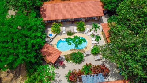 Garden, Swimming pool