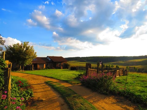 Property building, Natural landscape, Summer, Garden, Garden view