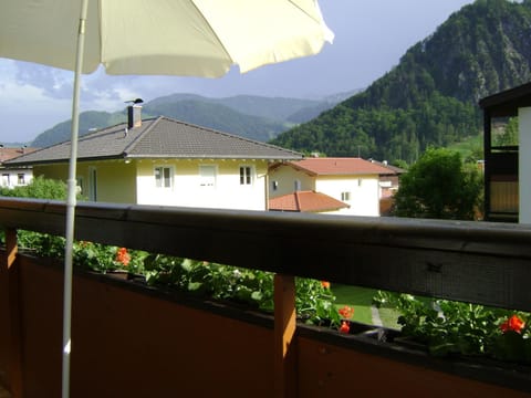 Oostenrijk-walchsee-Hasewinkel Apartment in Walchsee