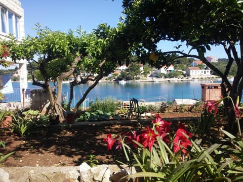 Apartment Marne Apartment in Dubrovnik-Neretva County