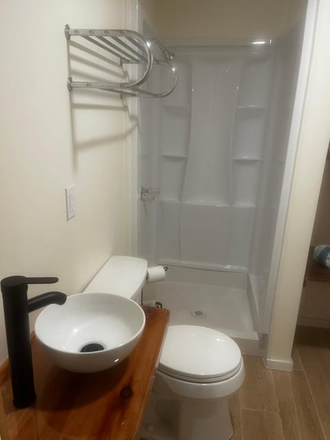 Shower, Toilet, Bathroom, towels