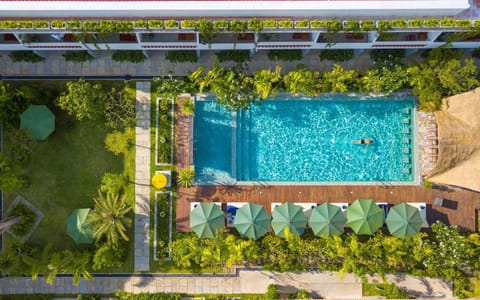 Garden, Swimming pool