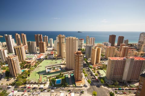 City view, Area and facilities