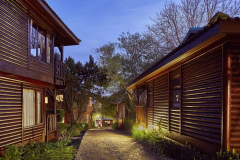 Property building, Night, Garden