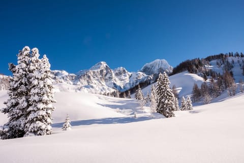 Hotel Gasthof Krahlehenhof Bed and Breakfast in Salzburgerland