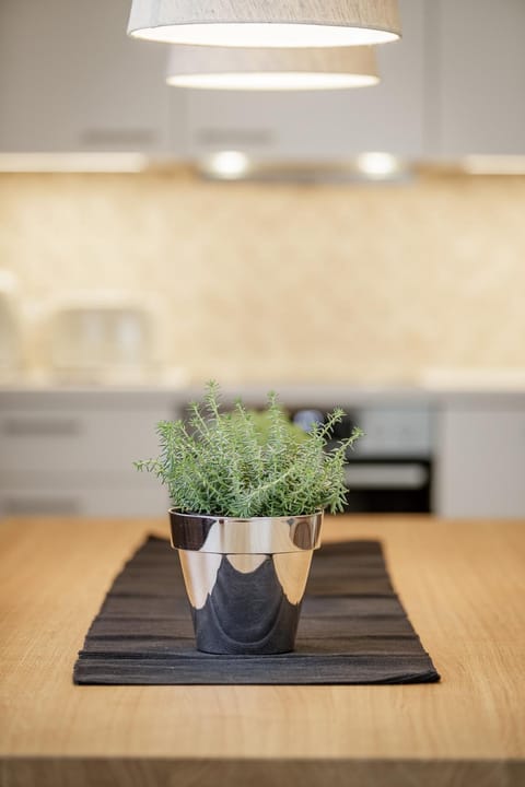 Apart am Sonnenhügel Apartment in Tyrol