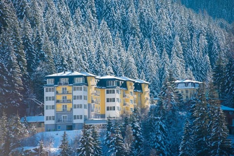 Property building, Winter