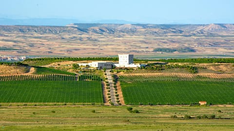 Property building, Bird's eye view