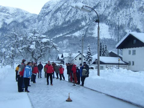 Winter, Mountain view, group of guests