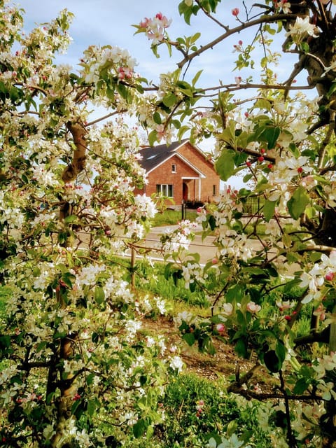 De Oude Katsei House in Flanders