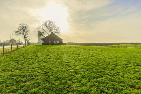 Natural landscape, Winter, Garden, View (from property/room), On site