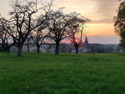 De Oude Katsei House in Flanders