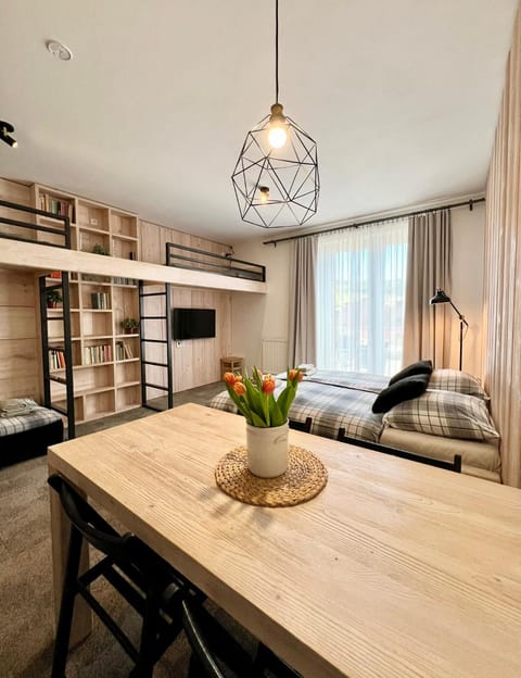 Bed, TV and multimedia, Kitchen or kitchenette, Living room, Photo of the whole room, Seating area, Dining area, Bedroom
