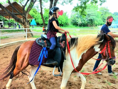Horse-riding, Animals
