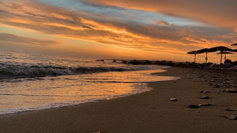 Beach, Sunset, sunbed
