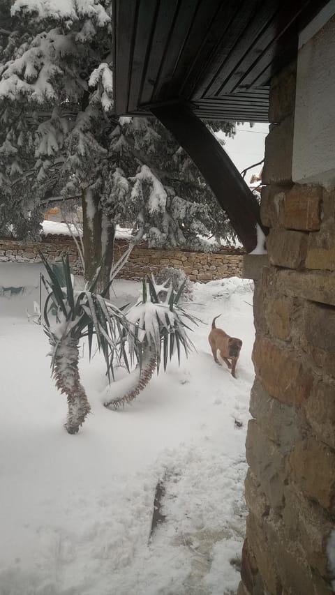 Family hotel Elena Hotel in Veliko Tarnovo