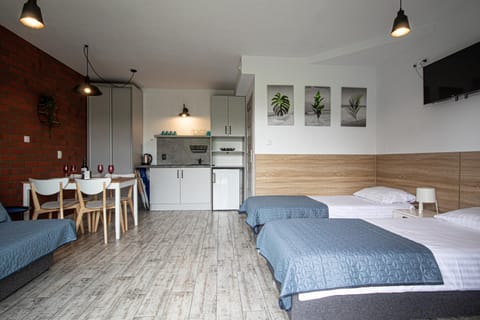 Bed, Kitchen or kitchenette, Living room, Seating area, Dining area