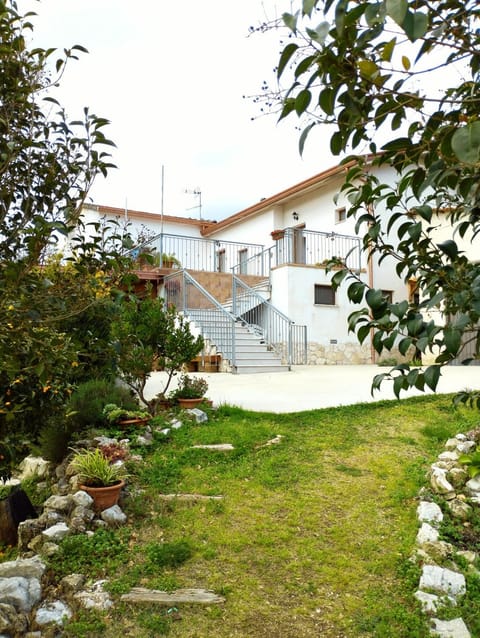 Property building, Day, Garden