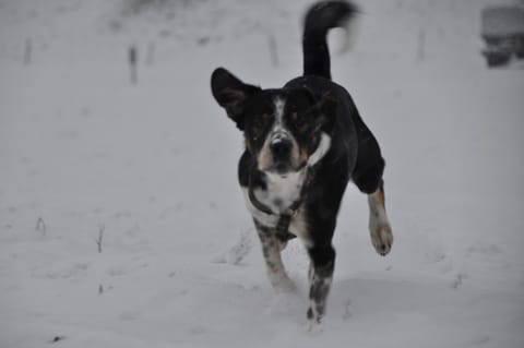 Hotel Engelberg "mein Trail Hotel" Hotel in Nidwalden