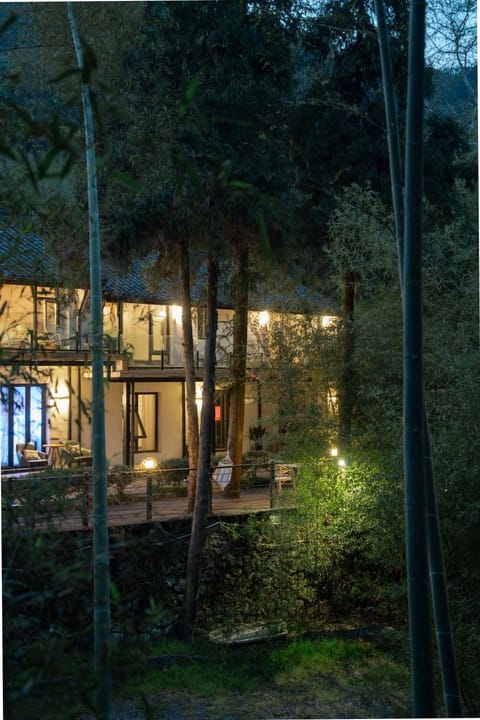 Property building, Spring, Night, Natural landscape, Garden, Garden view